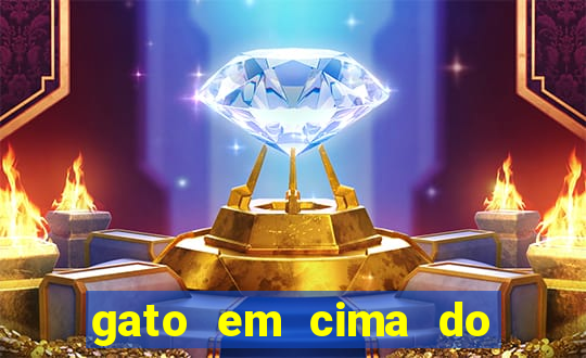 gato em cima do telhado significado espiritual