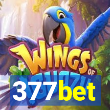 377bet