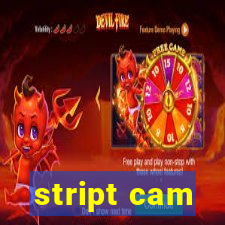 stript cam