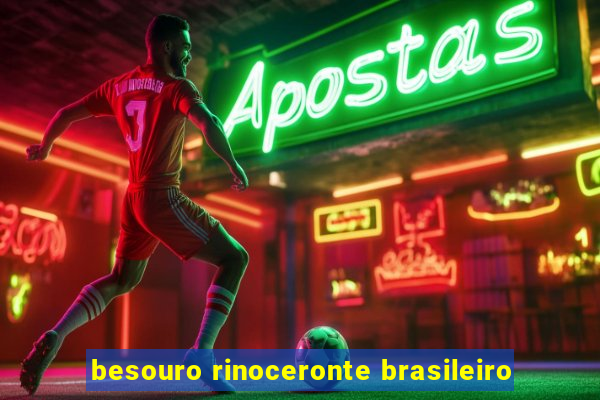 besouro rinoceronte brasileiro