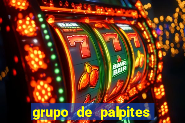 grupo de palpites de futebol telegram