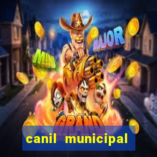 canil municipal porto alegre