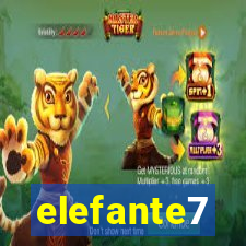 elefante7