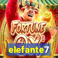 elefante7