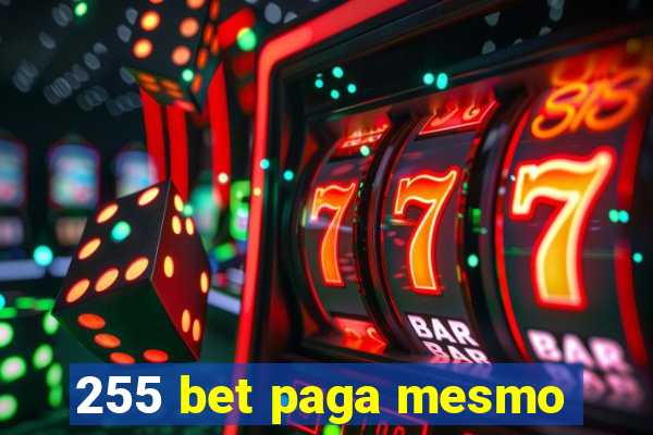 255 bet paga mesmo