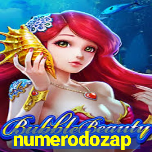 numerodozap