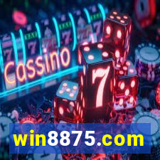 win8875.com