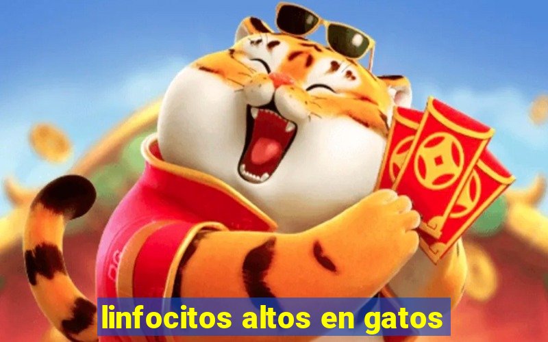 linfocitos altos en gatos