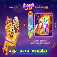 app para escalar time de futebol