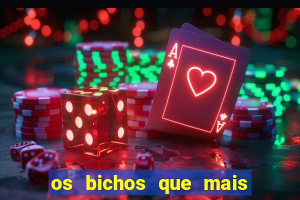 os bichos que mais saem na loteria federal