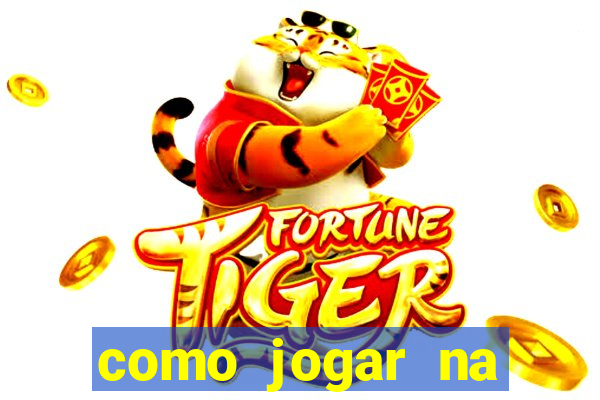 como jogar na lotinha do jogo do bicho