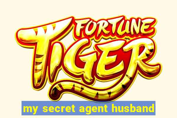 my secret agent husband