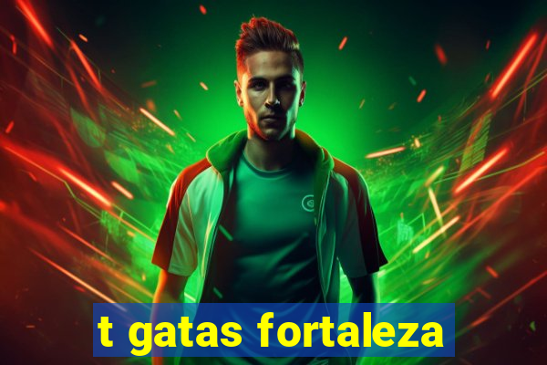 t gatas fortaleza
