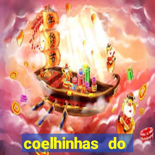 coelhinhas do brasil recife